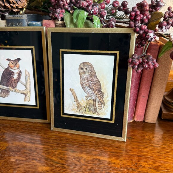 1971 Reverse paint Owl pictures - Picture 6 of 14